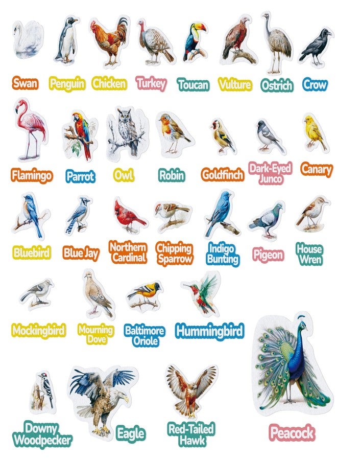 CHEFAN Felt Birds Felt Board Pieces, Precut Flannel Board Pieces with Words Flannel Pieces, Felt Figures Sets Flannel Graph Educational Learning Toys for Kindergarten, Preschool, Toddlers - 60 Pieces - Image 1